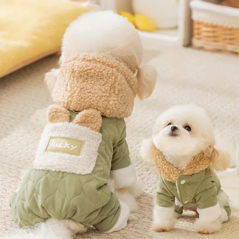 Vestiti per cani autunnali e invernali Cappotto in cotone a quattro zampe per animali domestici con guinzaglio in cotone trapuntato caldo addensato