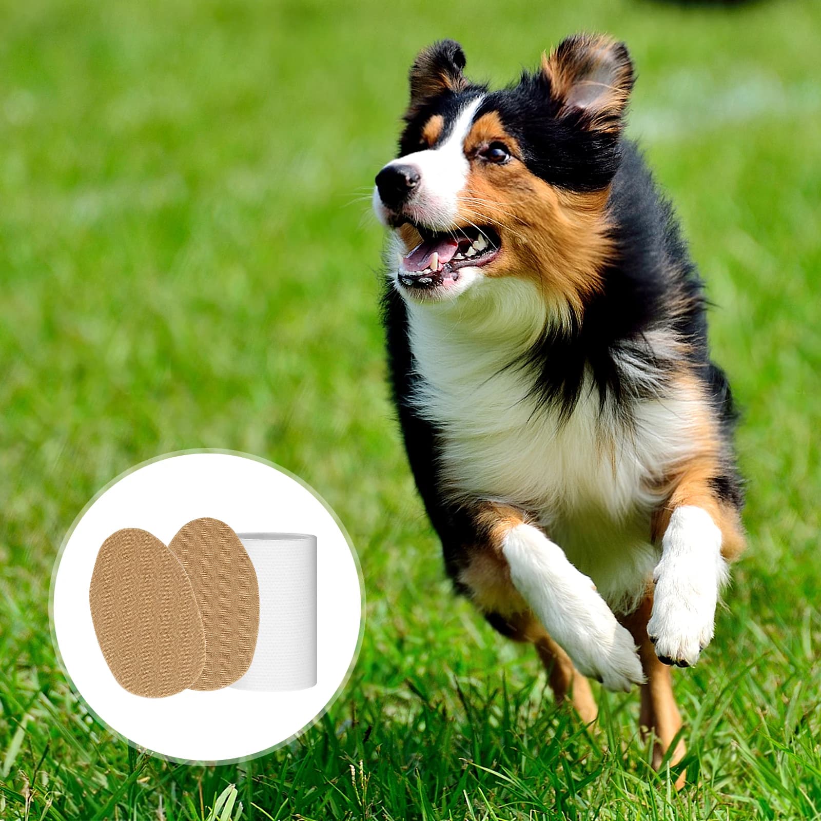 Adesivi per la cura dell'orecchio del cane Taping Piastra per l'orecchio del cane da compagnia Comodo supporto per l'orecchio Stand Up Adesivo Forniture per cani per cuccioli Strumenti per la cura dell'orecchio