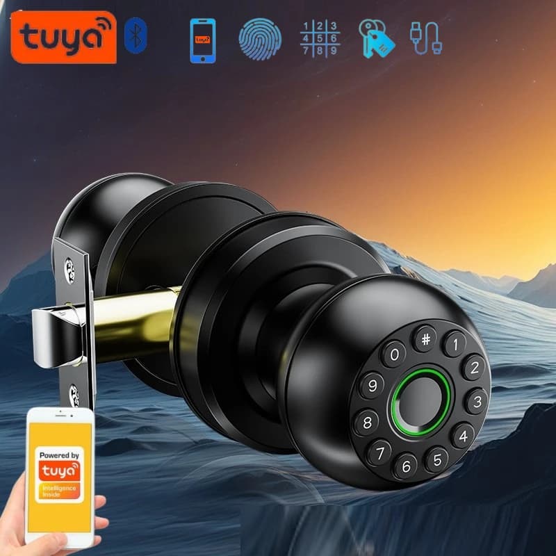 Tuya/app Smart Life Sblocca Serratura intelligente per porta Serratura per impronte digitali Serratura sferica per porta interna in legno Serrature con password per ingresso di sicurezza senza chiave