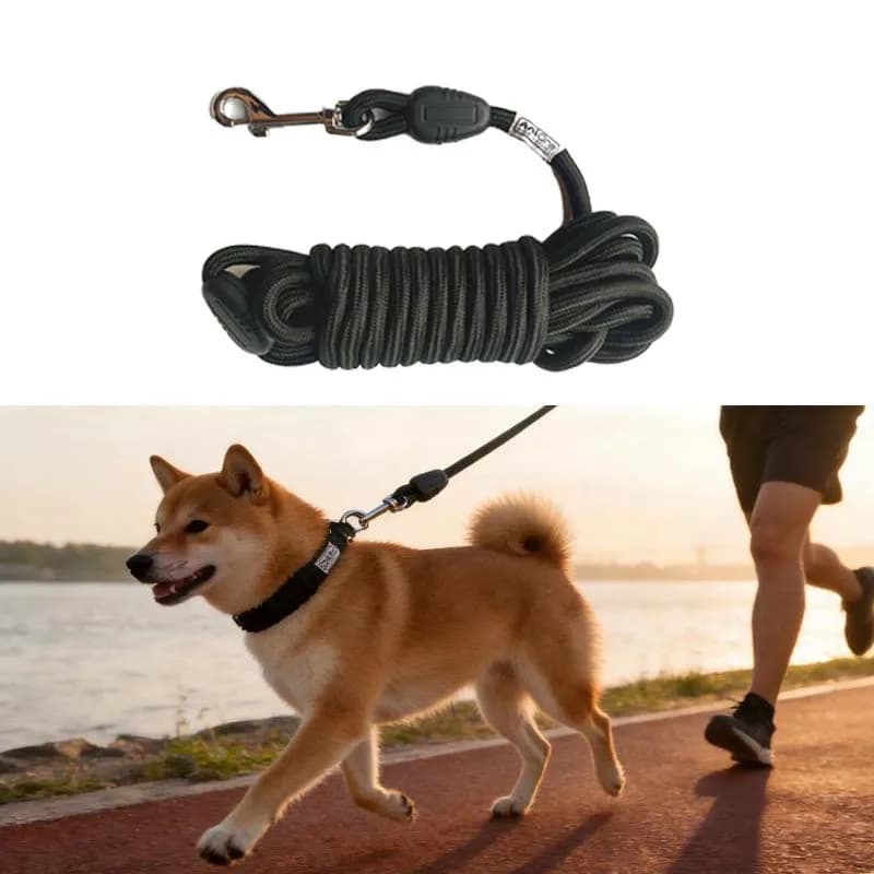 Guinzaglio per Cani Riflettente Resistente 5M 10M in Nylon per Addestramento, Passeggiate all'Aperto, Agility, Richiamo e Uso nel Dog Park