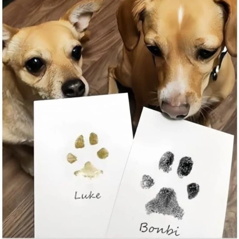 Inkless Cat Dog Paw Print Kit Pad for Baby Footprints & Handprints Easy DIY Non-toxic Safe Pet Souvenir Newborn Shower Gift