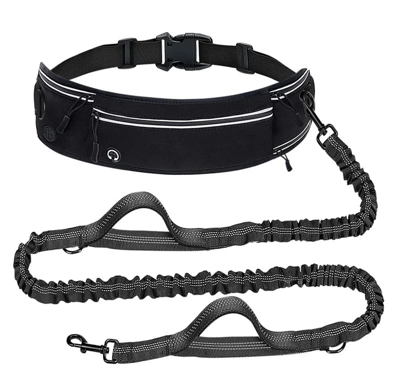 Anti-cleaning dog handle Retractable nylon retractable strap Multi-functional walking belt for pets Dog accessories
