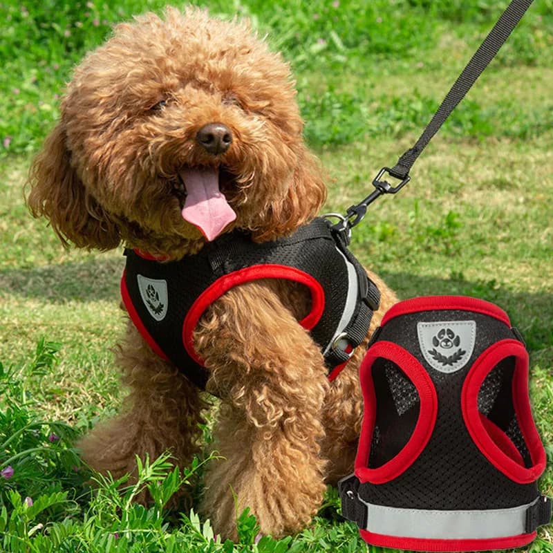 Dog Harness Vest Set Dog Strap With Adjustable Reflective Breathable Strap Harness Puppy Pet Kitten Leads Reflective Cats Collar