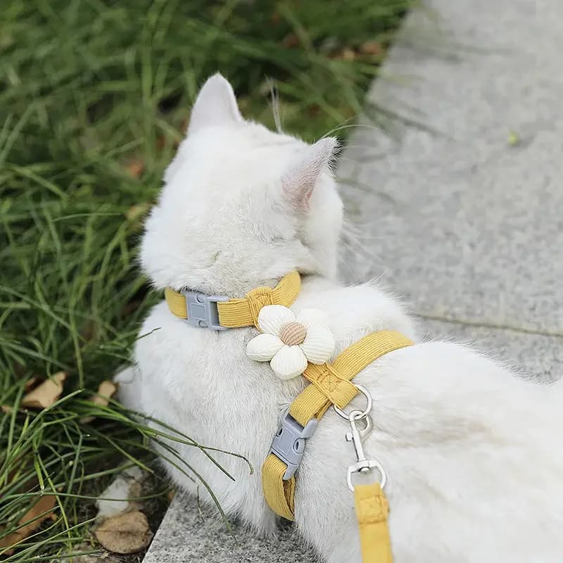 Set Guinzaglio e Pettorina Regolabile per Gatti e Cani Piccoli con Motivo Floreale, Traspirante, Accessori per Animali Domestici 15