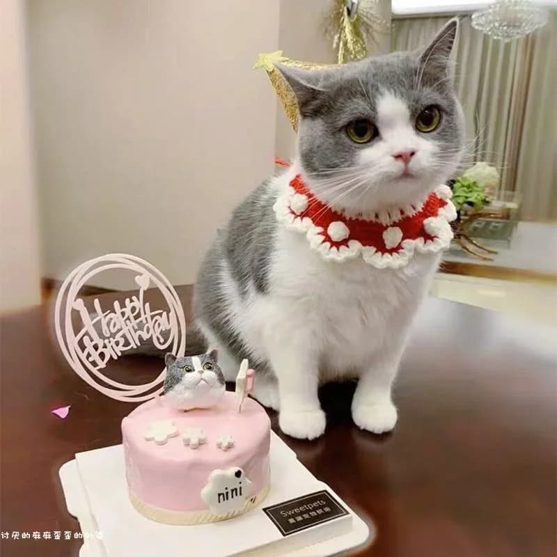 Bavaglino per cani con sciarpa per gatti da principessa simpatico cartone animato con collare in lana e set di asciugamani floreali per cani, accessori per cani