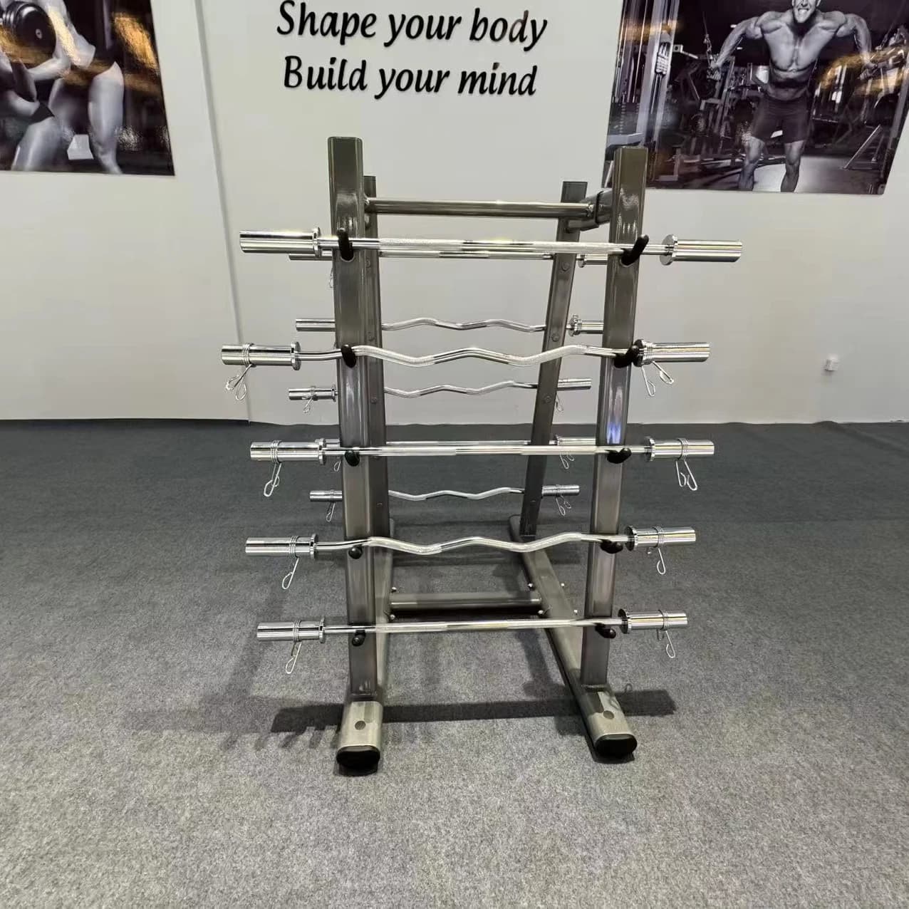 Weight plate holders Gym equipment racks Wheelchair for bodybuilding