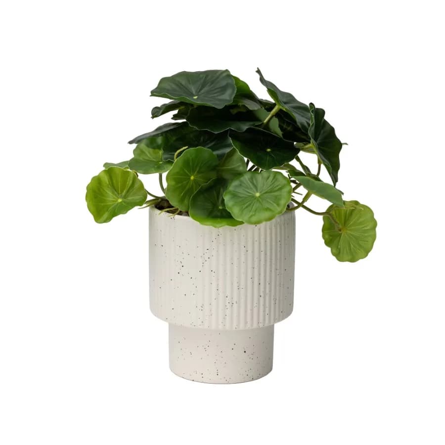Artificial Money Plant in Ribbed Speckled Ceramic Pot 9.5"