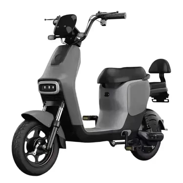 Bicicletta elettrica per adulti urbana a due ruote da 500 W E Bike/bici elettrica/500 W