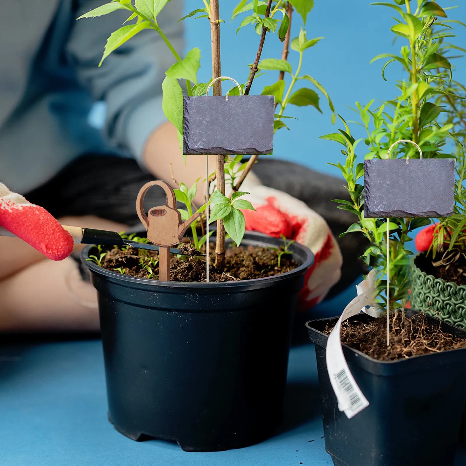 10 Pezzi Ganci in Metallo per Etichette Piante, Ganci da Pecoraio da 7,87 Pollici, Pali Segnaposto da Giardino per Esterni, Supporti per Etichette Piante, Pali per Etichette Fiori