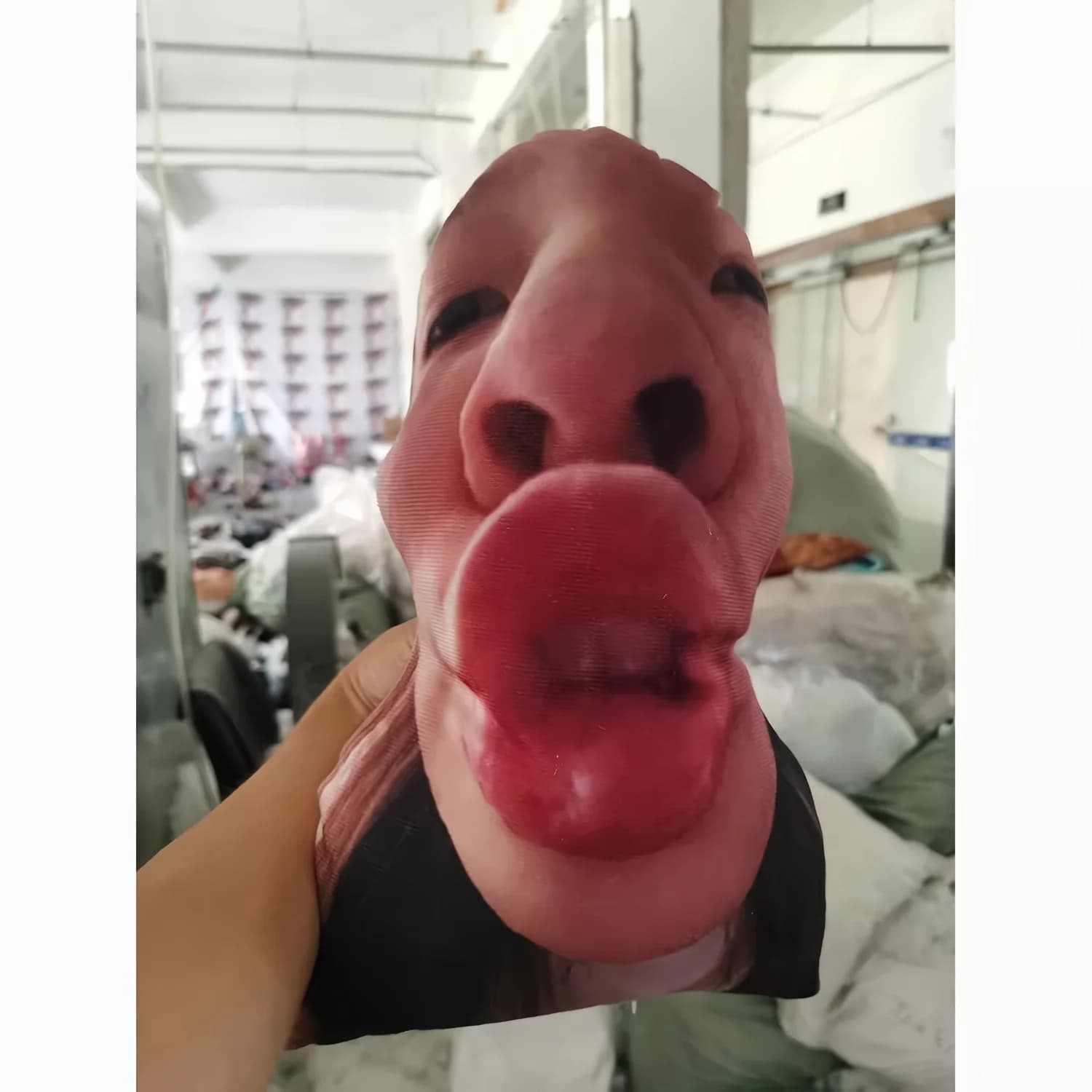 Un brutto cuscino per gatti, personalizzato con foto stampate, bambola con cuscino dalla forma personalizzata, cuscino per animali domestici. Simulazione di cani e gatti comm