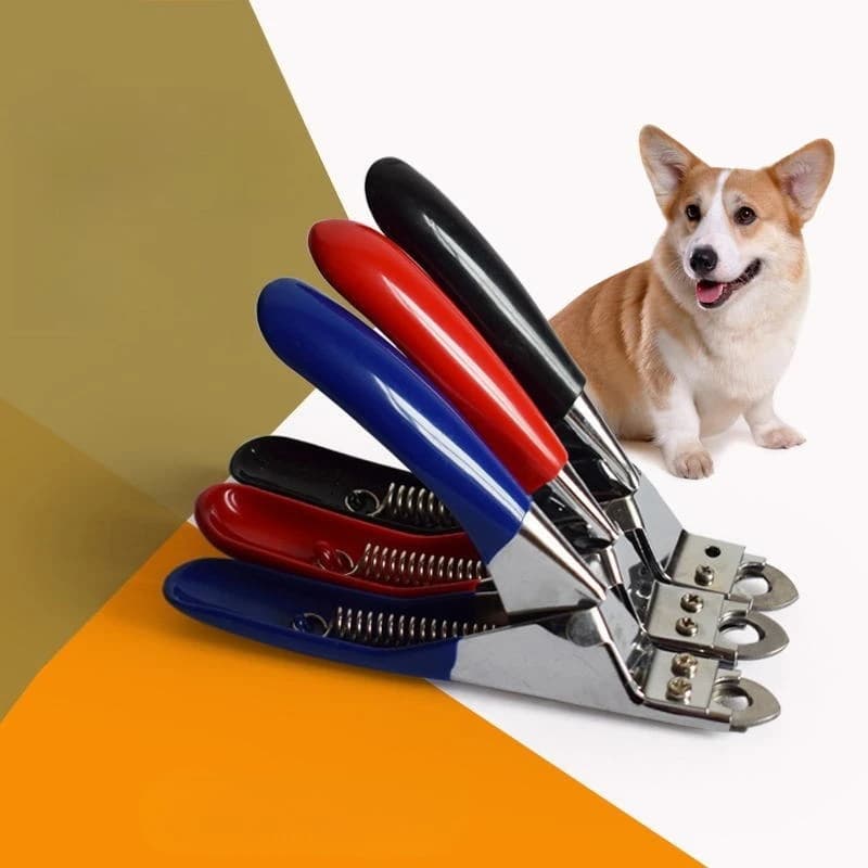 Stainless Steel Pet Nail Clipper for Dogs And Cats Small to Medium Size Guillotine Style Grooming Tool for Animal Toes Cutting