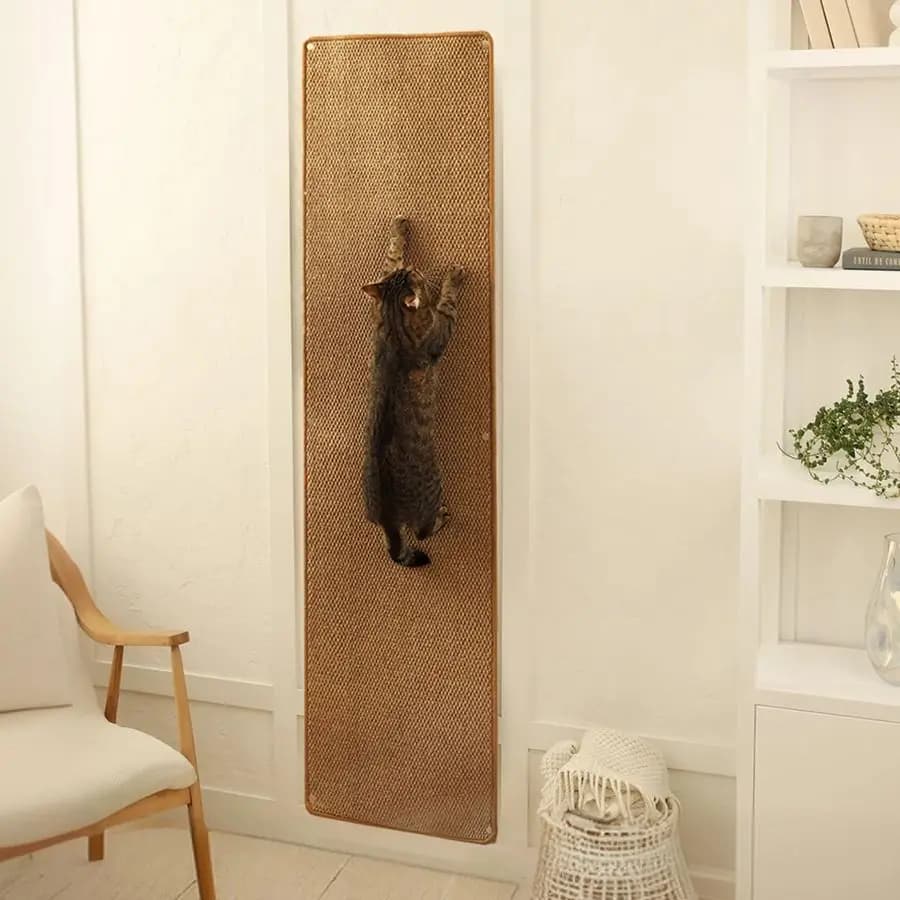 Carpet by Arrampicata for Cats, 67 x 17,5 cm, with Fissaggio Nails, Graffiante Carpet by Parete per Gatti
