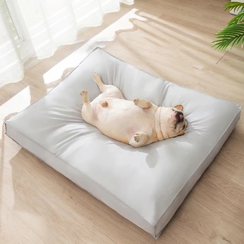 Letto per animali domestici per cani Gatti Tappetino medio Coperta per cani Piccole cattive grandi cestini Cuccia Animali domestici Razze Divano Biancheria da letto per cuccioli Accessori