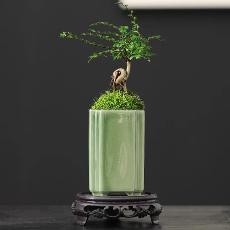 Square Porcelain Celadon enamelled orchid flower pot bonsai pot of plants crafts artistic ornaments home garden furniture
