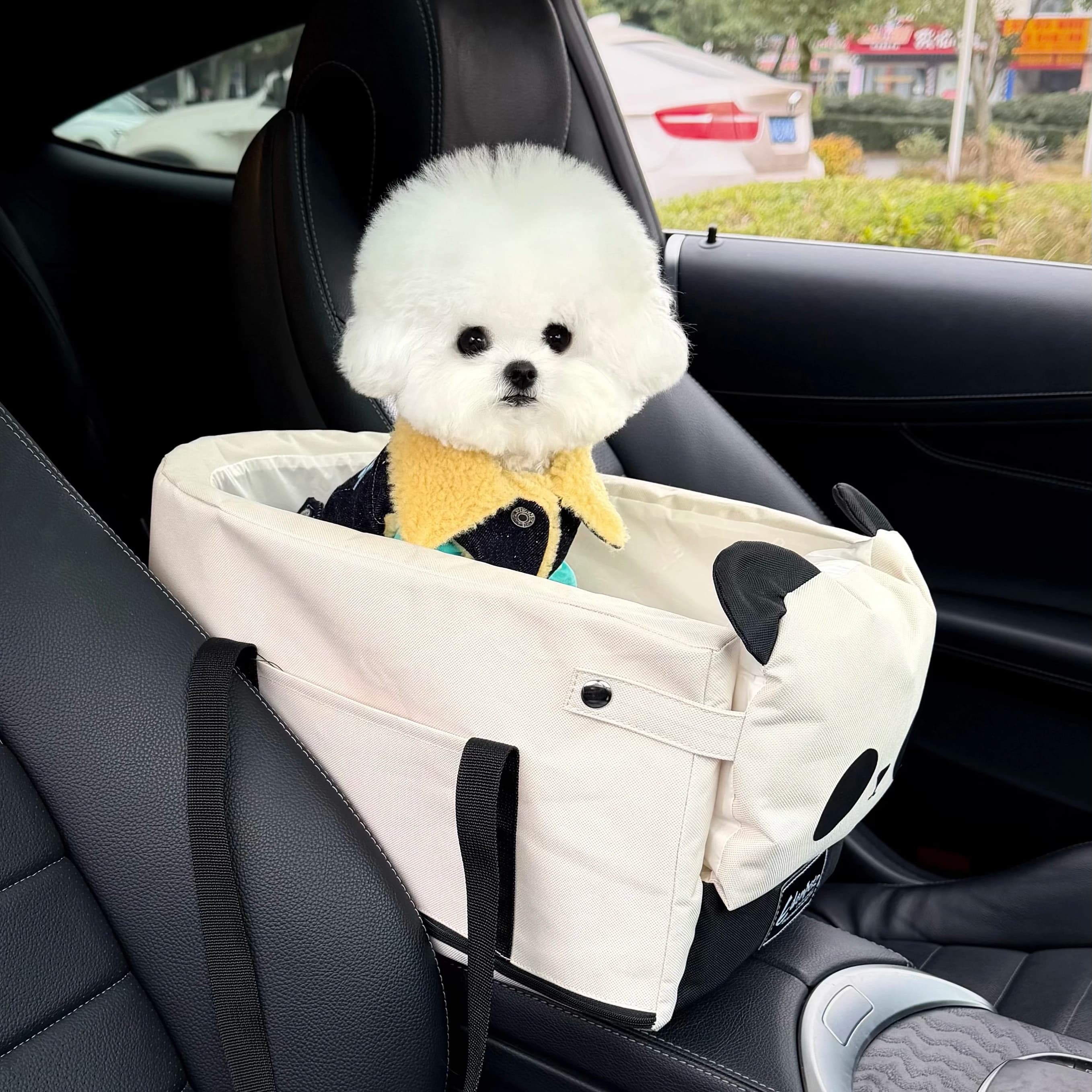 EdenPetz Borsa portatile per seggiolino auto per cani con cintura di sicurezza, marsupio per animali da viaggio all'aperto per letto per gatti