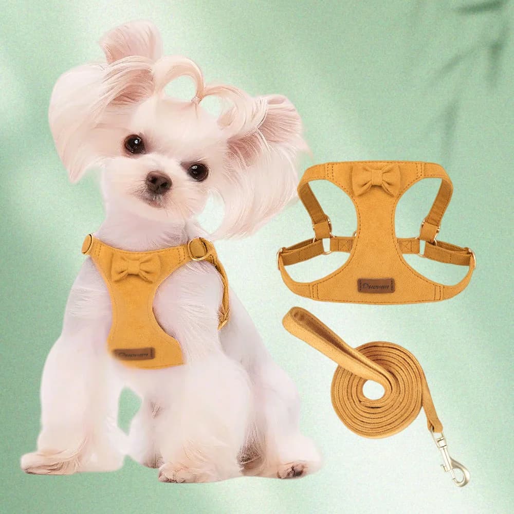 Set di guinzagli per imbracatura per cani in pelle scamosciata premium alla moda - Cintura pettorale regolabile per animali domestici Accessori moda per gattini e cuccioli morbidi e durevoli