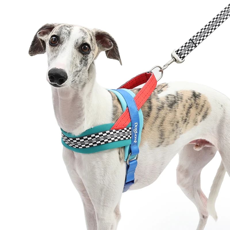 Dog Harness Leash Set Anti Pull No Choke Pet Chest Strap for Small Medium Dogs Outdoor Walking Pet Supplies