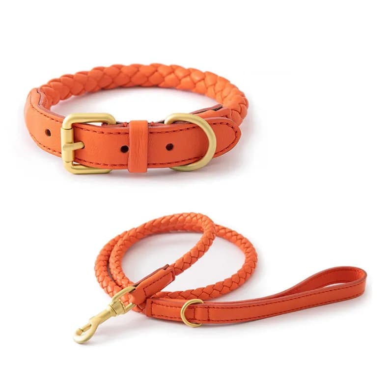 Adjustable Braided Leather Pet Collar and Leash Set Comfort Fit Dog Walking Rope for All Breeds