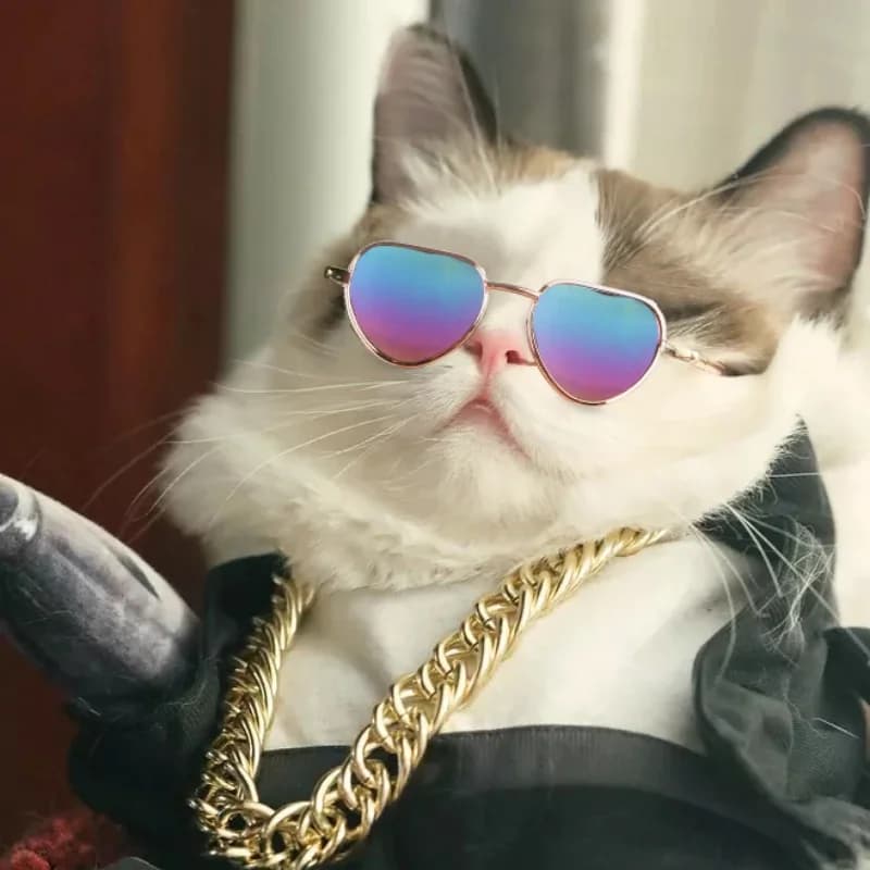 Cute Cat Glasses Non-Slip Pet Sunglasses Small Dog Puppy Cosplay Costume Photo Props Fashion Animal Eyewear Pet Accessories