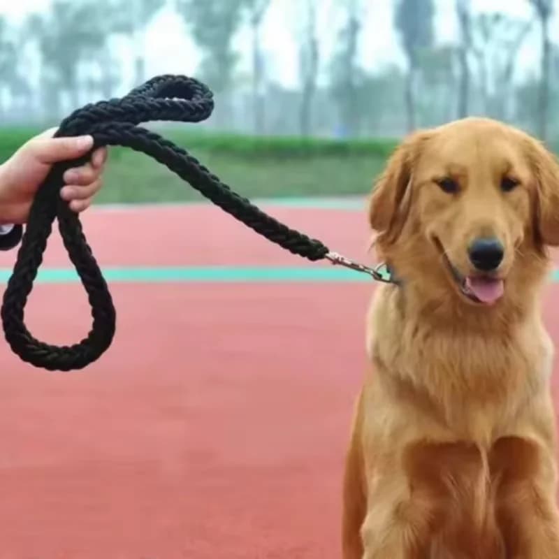 Guinzaglio per cani di grandi dimensioni intrecciato in nylon Corda di trazione Corda a mano spessa per Bulldog Rottweiler Hound Cani Accessorio per passeggiate per animali domestici