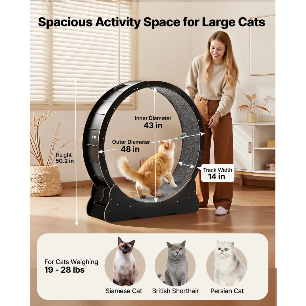 Ye Cat Exercise Wheel - 48 in Wooden Running Wheel for Indoor Cats up to 28 lbs, Treadmill with Carpeted Runway & Locking Mechanism, Quiet Kitten Sport Toys for Pets' Fitness & Health, Black
