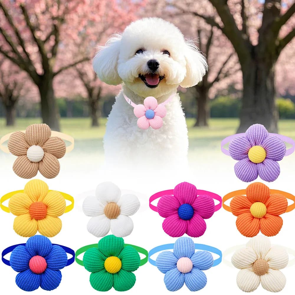 Papillon per animali domestici Fiore Cucciolo di cane Fiocco per gatti Accessori per toelettatura animali domestici