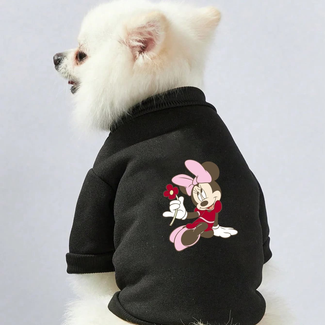 1 pezzo di bellissima felpa girocollo con stampa di Minnie e fiori per animali domestici, caldo pullover girocollo autunno/inverno