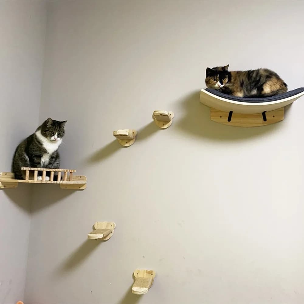 Mobili per gatti: Ponte sospeso in legno massello, montato a parete, con gradini in sisal per gatti per muoversi e giocare