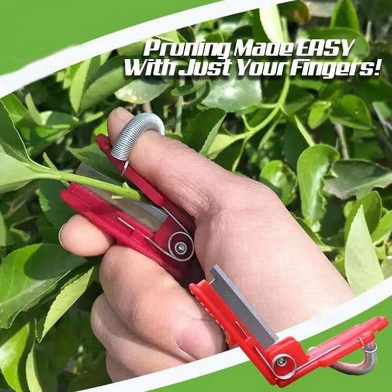 Attrezzo per la raccolta di frutta e verdura Attrezzo per la raccolta di verdure Colpo di coltello Separatore da giardino Raccolta di ghigliottina Fattoria Frutteto Attrezzi da giardinaggio