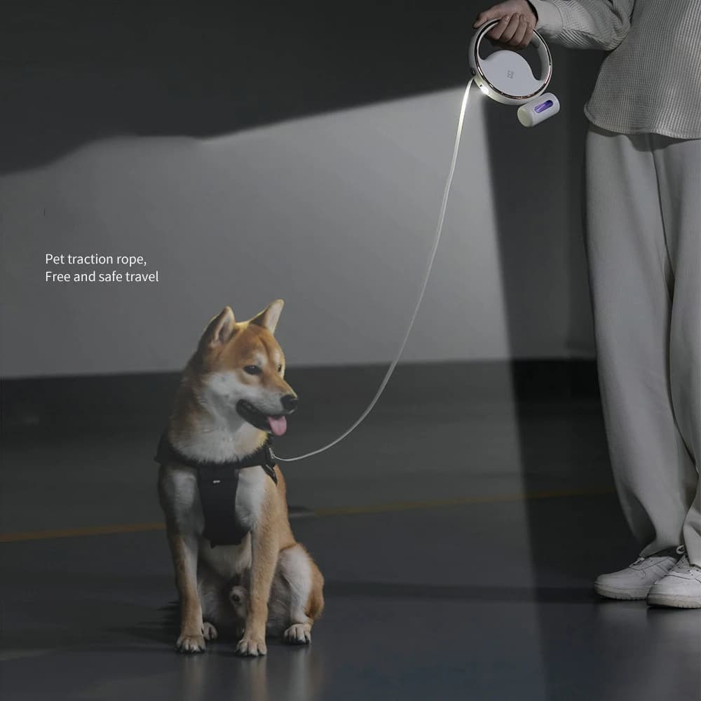 Nuovo guinzaglio per animali domestici luce notturna a LED guinzaglio per cani retrattile con un clic guinzaglio per cani di taglia media e grande che smonta la scatola della spazzatura