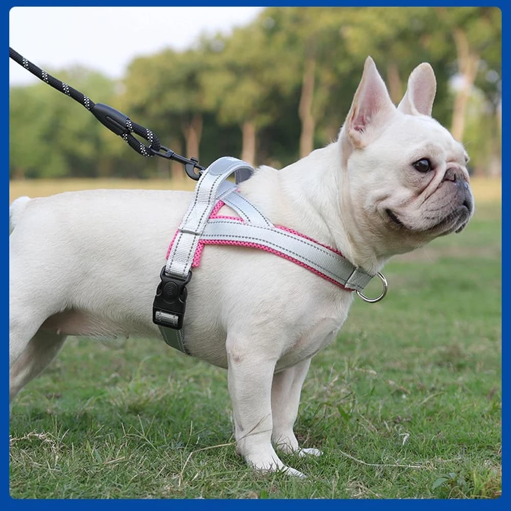 Small Dog Harness Leash Set Reflective Safety Vest Outdoor Walking Anti Burst Puppy Chest Strap Pet Traction Equipment
