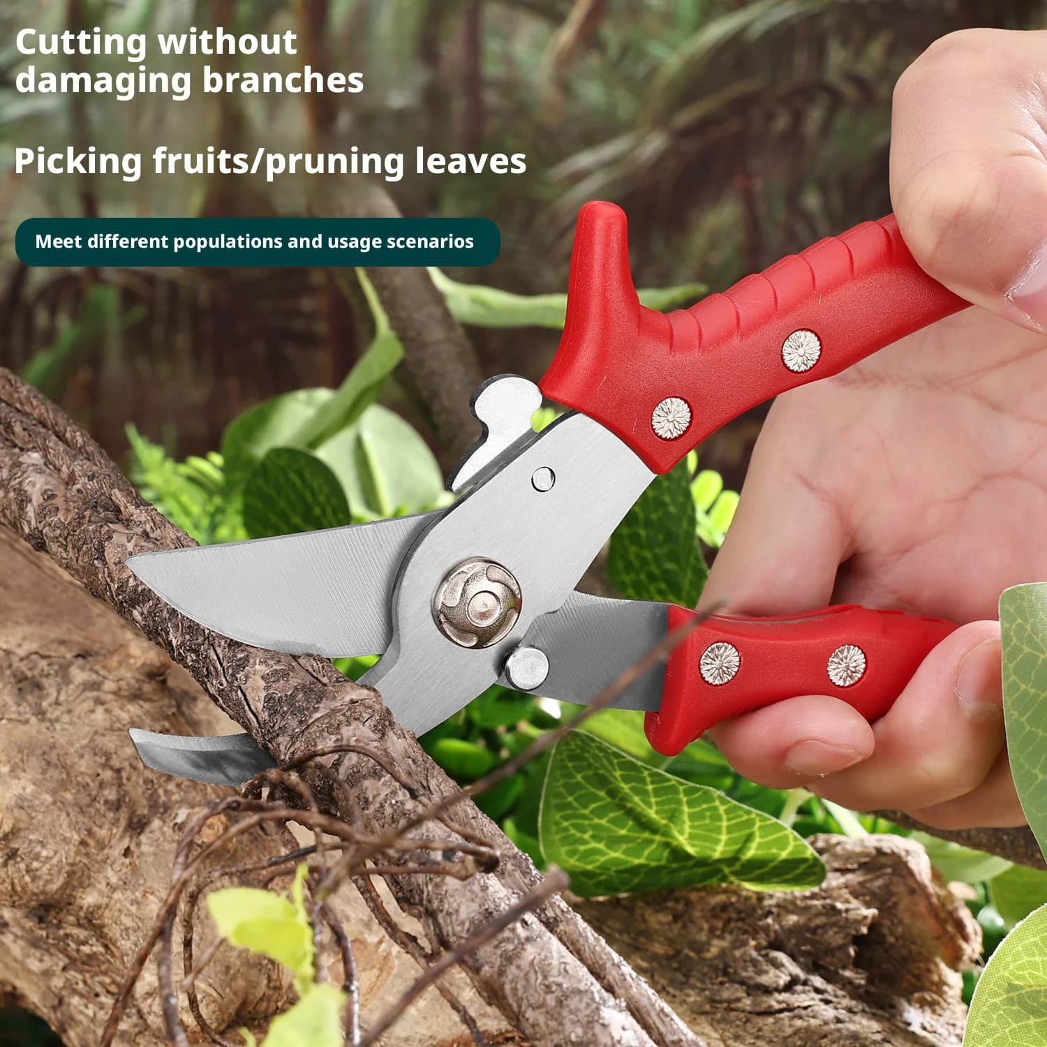 Forbici da Potatura Ergonomiche in Acciaio Inossidabile Rosse per Giardinaggio - Strumento per Taglio Rami e Raccolta Frutta