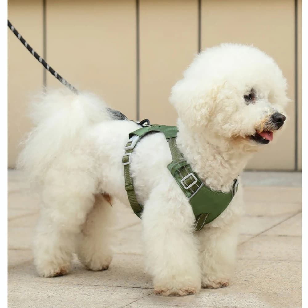 Summer New Dog Harness with Leash, Breathable Anti-Escape Pet Vest, Reflective Adjustable Walking Lead for Medium Dogs