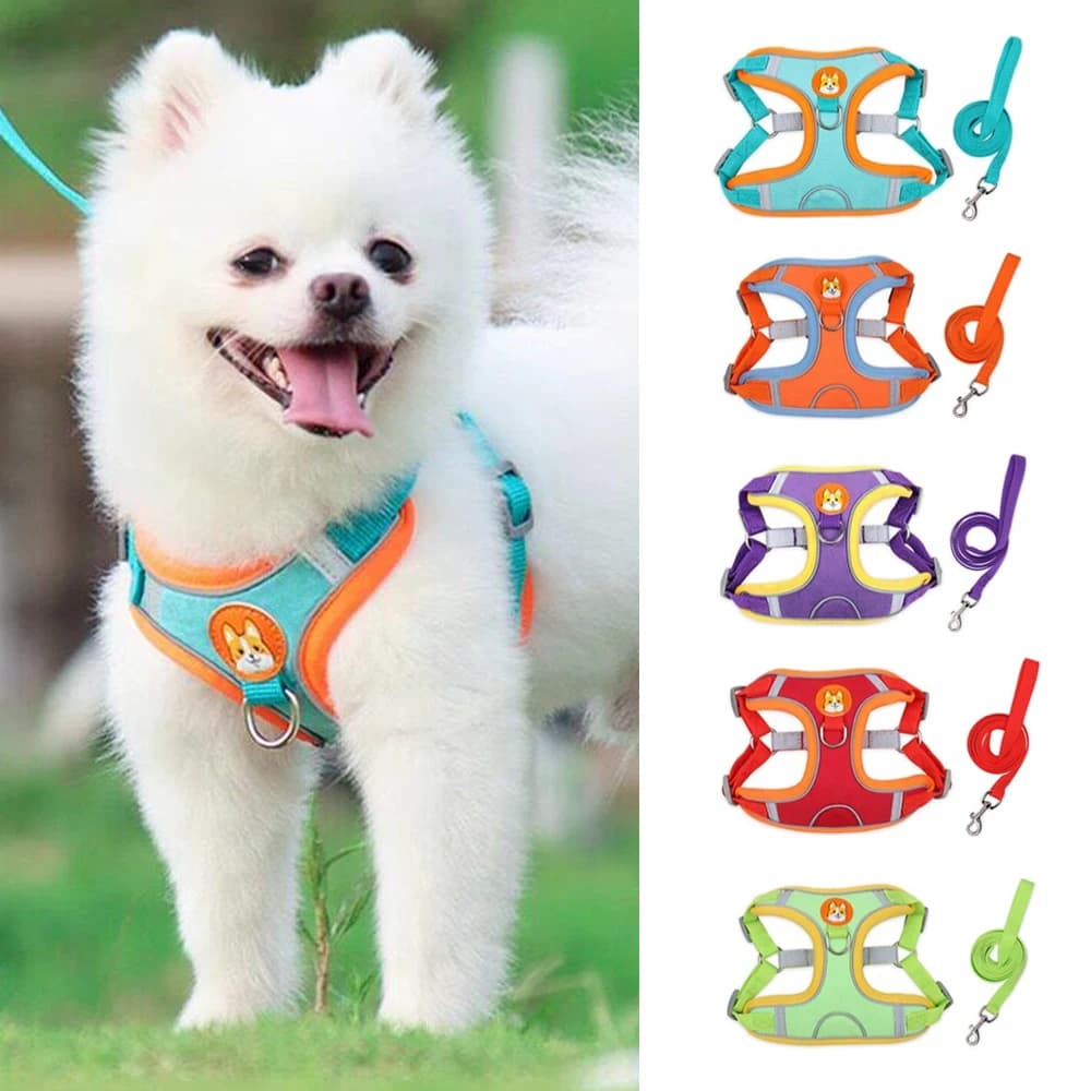 No Pull Adjustable Puppy Cat Dog Harness Leash Set, Soft Step-in Pet Walking Vest Lead, Suitable for Small Dogs Chihuahua
