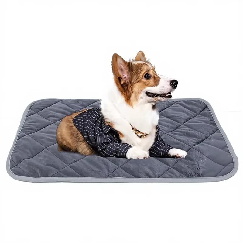 Coperta autoriscaldante in stile moderno, tappetino caldo per animali domestici, modello solido, letto per gatti, fibra in pile, lavabile per cani