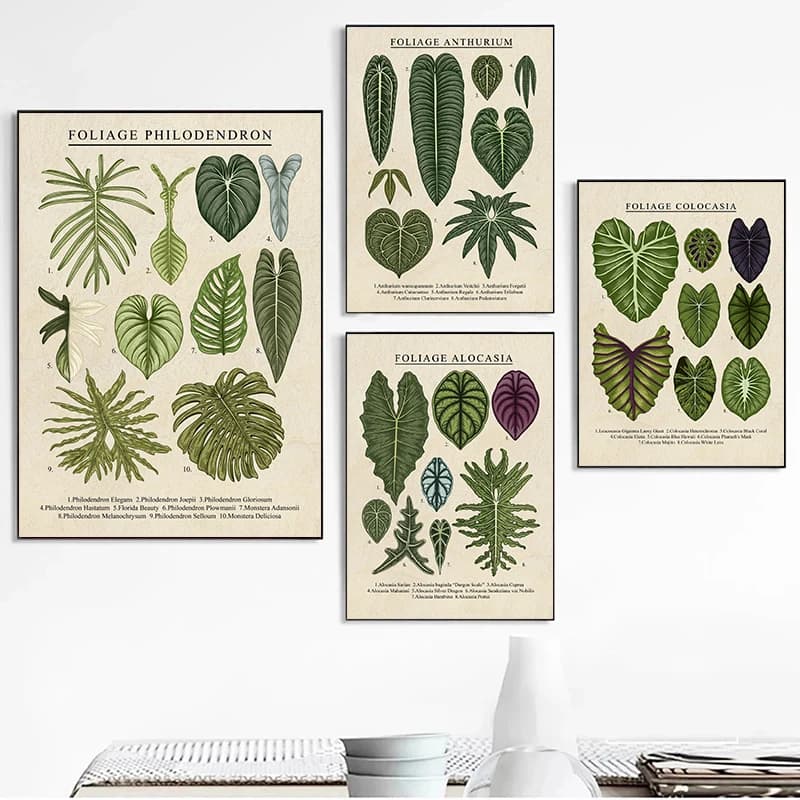 Foliage Philodendron Plant Canvas Paintings Anthurium Posters and Prints Wall Art Pictures for Living Room Decoration Cuadros