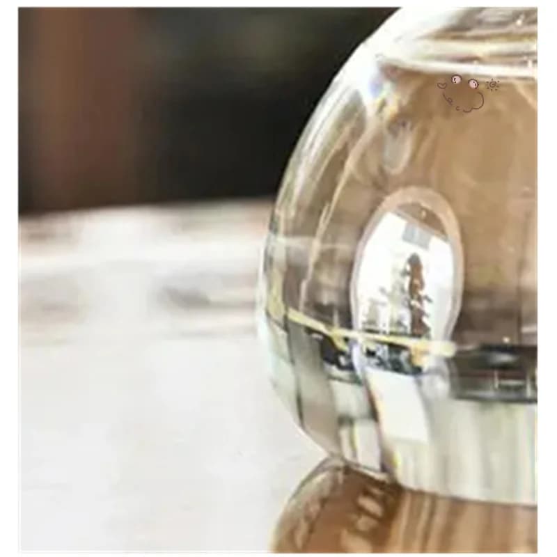 Transparent glass avocado seed vase for plants in cultivation Seeds germination kit Gift for gardening lovers