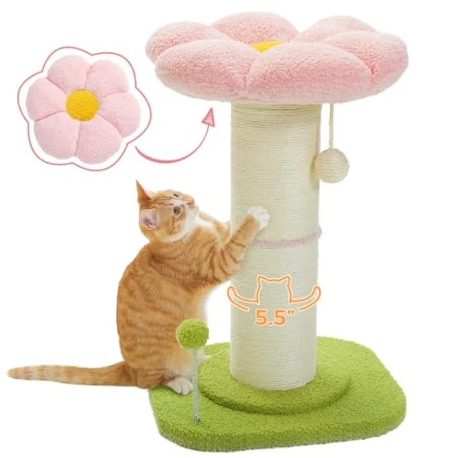 Tiragraffi per Gatti a Forma di Fiore, Tiragraffi Piccolo per Gatti da Interno con Tiragraffi Super Spesso [Diametro=5.5''] Rimovibile