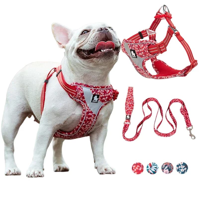 Winhyepet Pettorina per cani Cinghie da viaggio Riflettente Imbottitura in puro cotone Design Abbigliamento per Bulldog francese, Hoky, Sheepdog