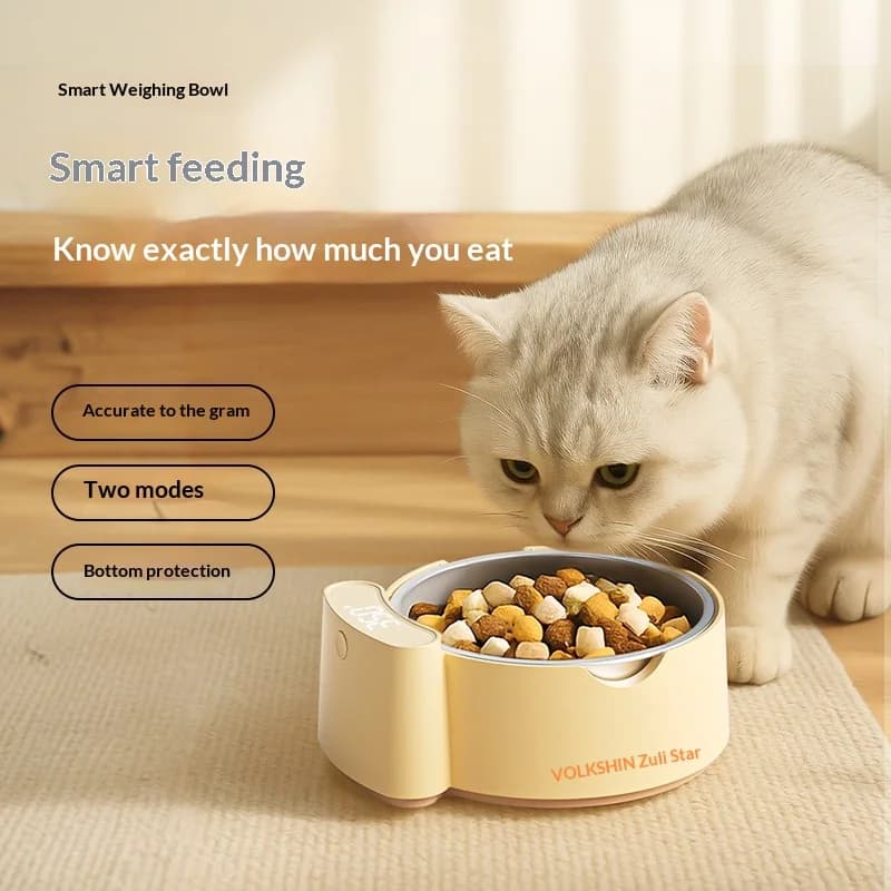 Ciotola per gatti per animali domestici Ciotola per cibo per cani con pesatura intelligente Controllo dell'alimentazione Ciotola per bere antiscivolo anti-punta in acciaio inossidabile Perdita di peso