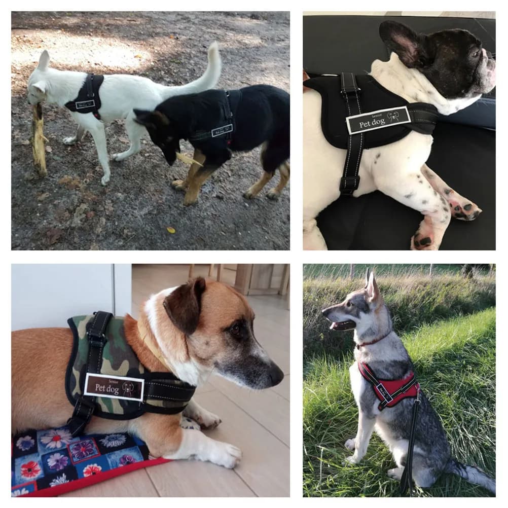 Black L Chest Strap Dog Harness Vest Breathable Mesh Tape Waterproof Sponge Padding Car Safety Leash Harness Vest Haulage Cable