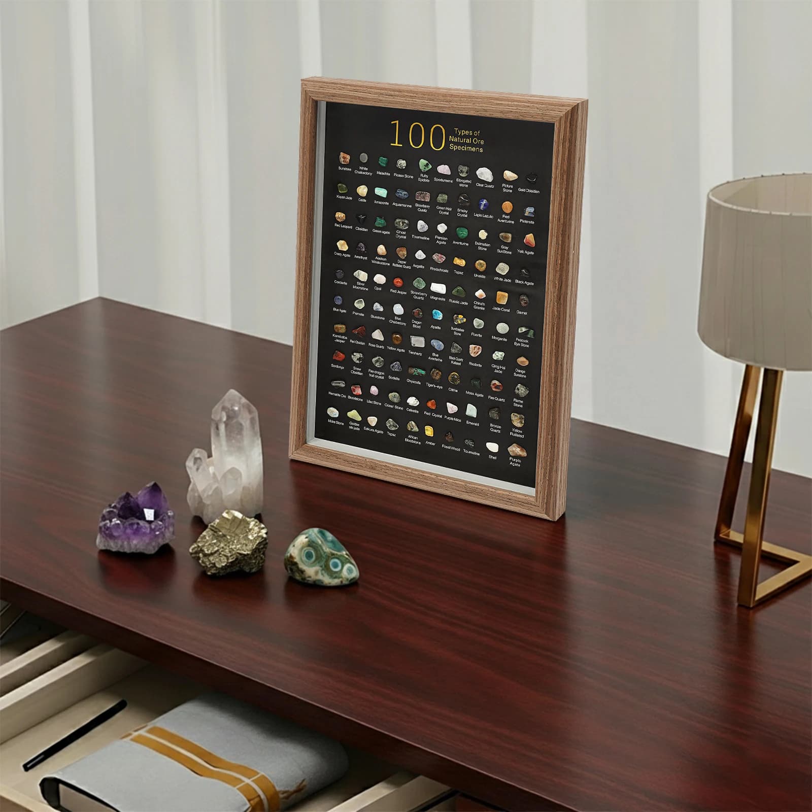 Espositore di campioni minerali naturali, collezione di 100 tipi di rocce da parete con cornice in legno e pannello in vetro, ornamento con campioni di minerali
