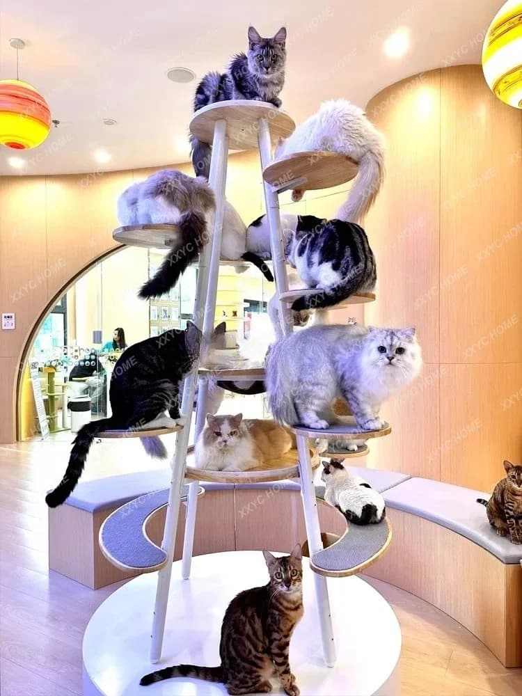 Una struttura da arrampicata per gatti da salto. Colonna in legno massello di lusso integrata per albero per gatti super grande minimalista per la casa