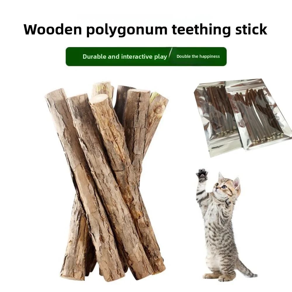 Bastoncini Naturali di Catnip e Woodruff, Giocattolo in Legno per Gatti, Giocattoli da Masticare per la Pulizia dei Denti, Cura Dentale per Gatti, Gattini e Animali Domestici