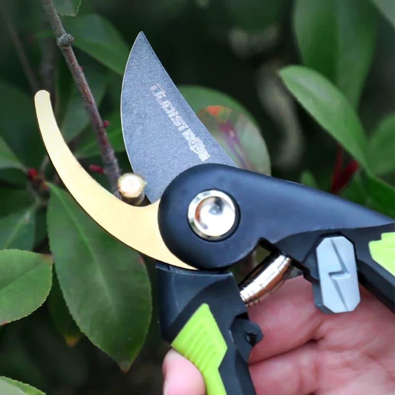 Stainless Steel Potting Scissors, Tree Cutting Tools and Garden Flowers