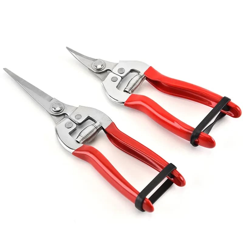 Garden scissors for gardening hand pruning scissors pruning scissors with tip Micro scissors for straight florist