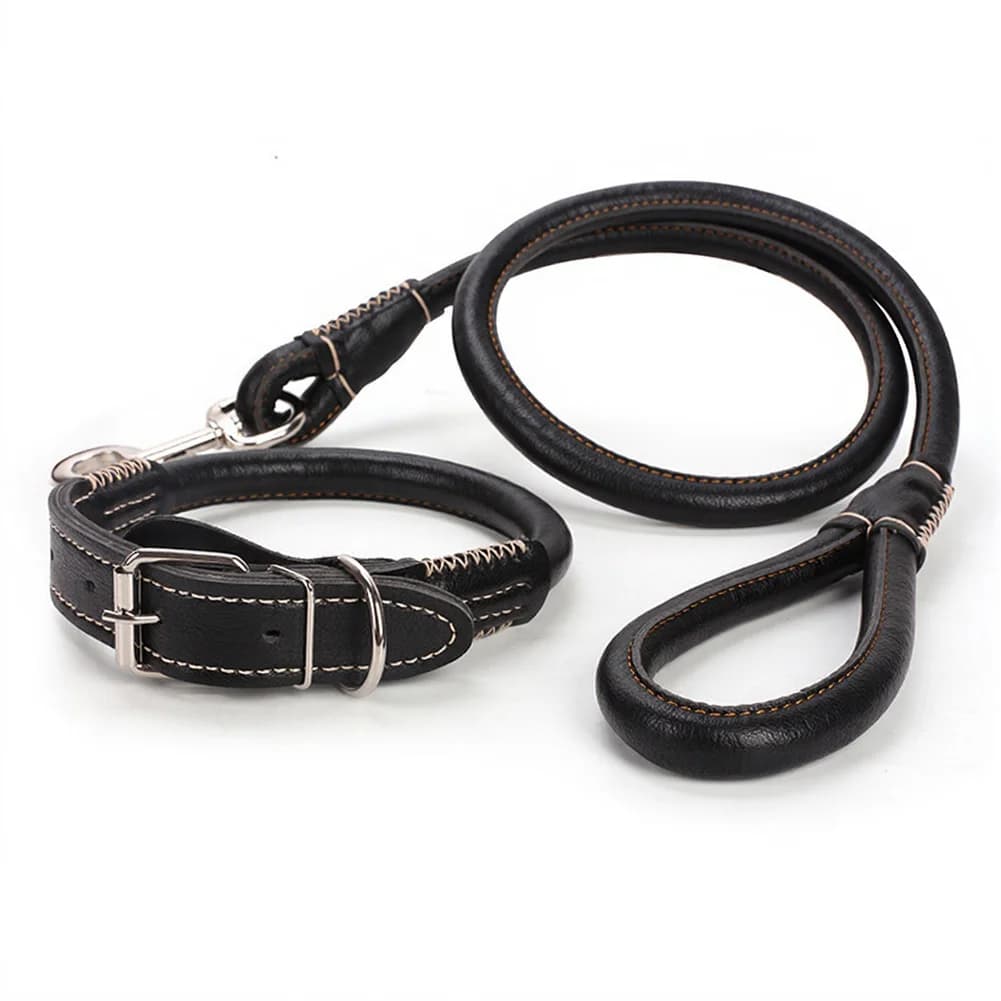Guinzaglio per Cani in Corda Rotonda, 1,8 cm, in Morbida Pelle PU, Impugnatura Confortevole, Gancio in Metallo Elettroplaccato