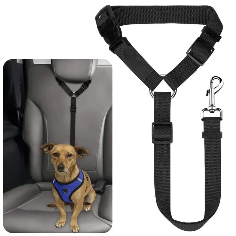 Cintura di sicurezza per auto per animali domestici due in uno in nylon regolabile e guinzaglio per cani Collare per imbracatura di sicurezza per sedile posteriore Cane riflettente in tinta unita