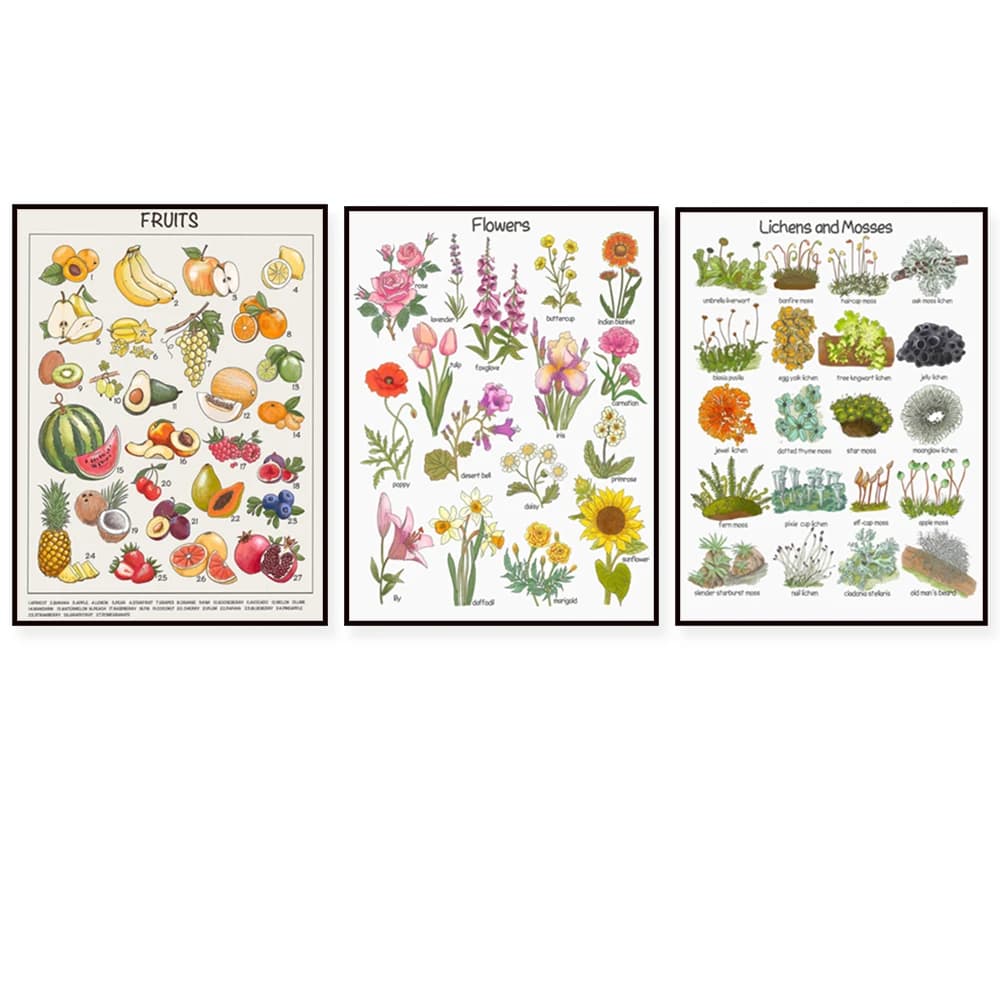 Educational poster with cooking herbs, plants, lichens and moss, seeds of trees, leaves, mushrooms, vegetables, fruit and flowers