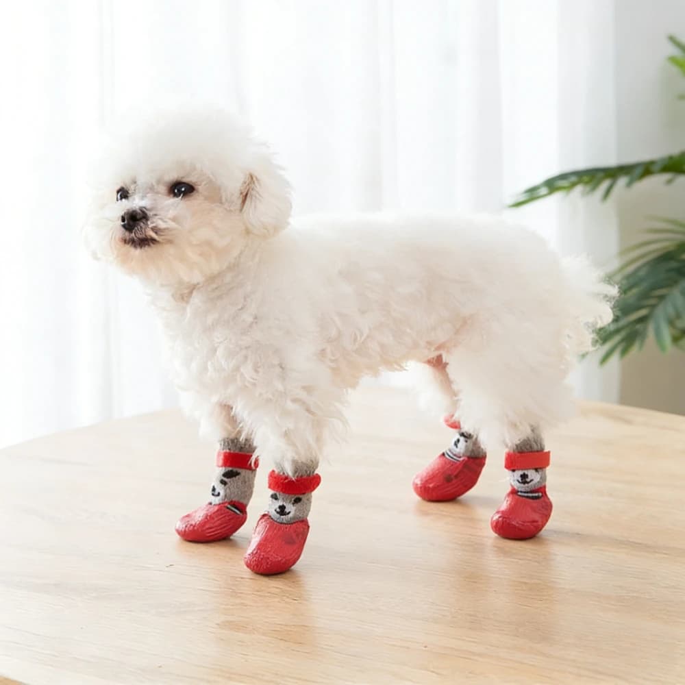 Set di 4 Calzini Antiscivolo per Cani con Cinghie, Controllo della Trazione per Pavimenti in Legno, Protezione Zampe per Cani di Piccola Taglia